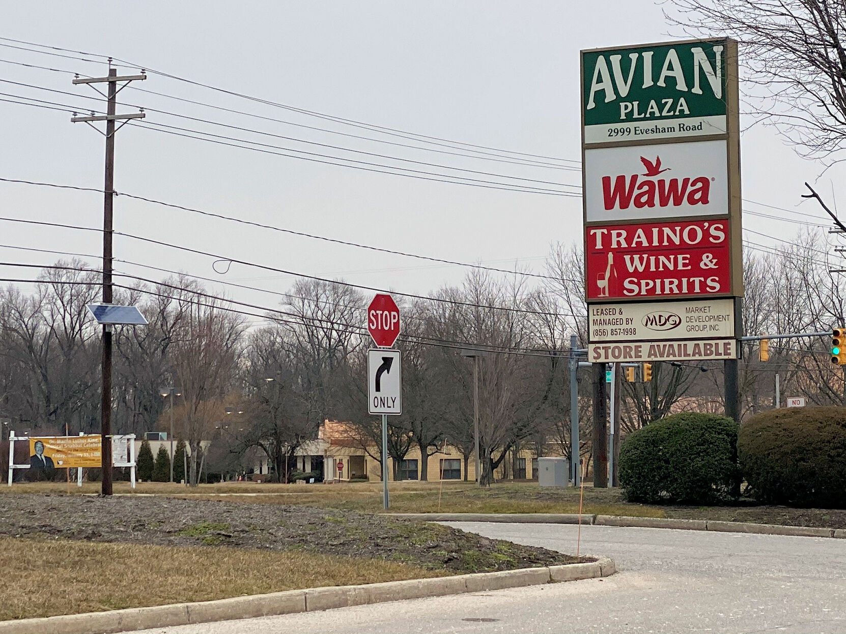 avian